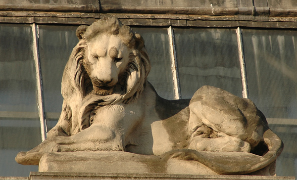 Lions. Emmanuel Frémiet.